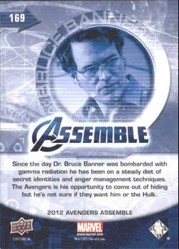 Bruce Banner - Mark Ruffalo - back