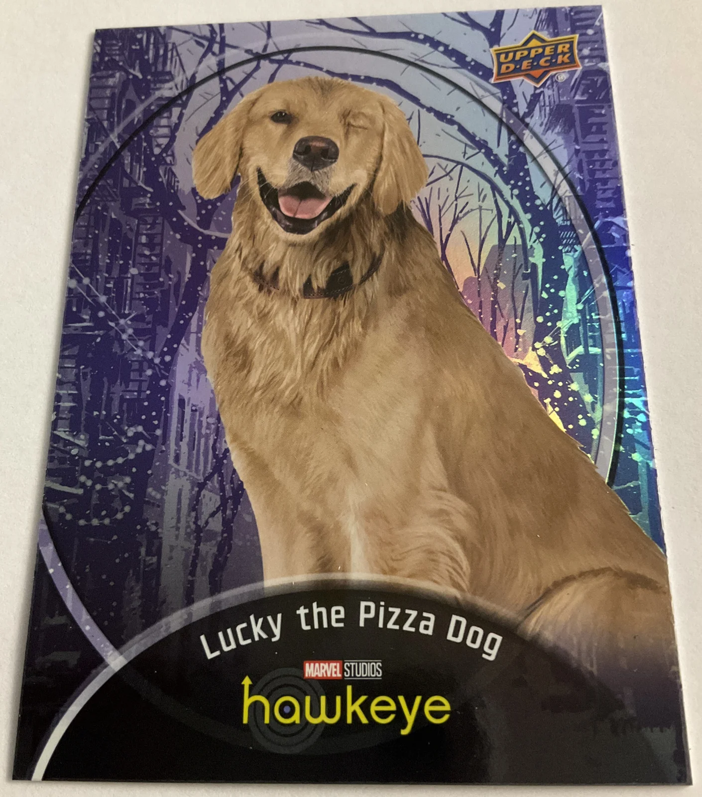 Lucky the Pizza Dog - Jolt