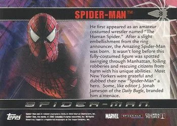 Spider-Man - Tobey Maguire - back